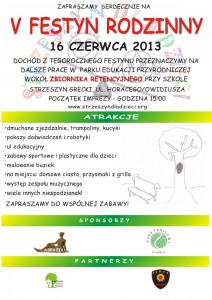 Festyn 2013 - plakat